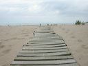 wooden_plank_path